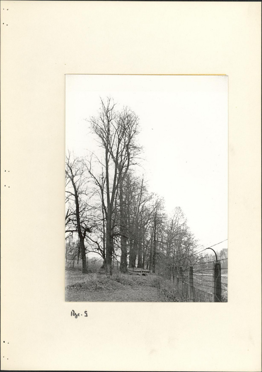 Ewidencja parkowa, skan nr 16