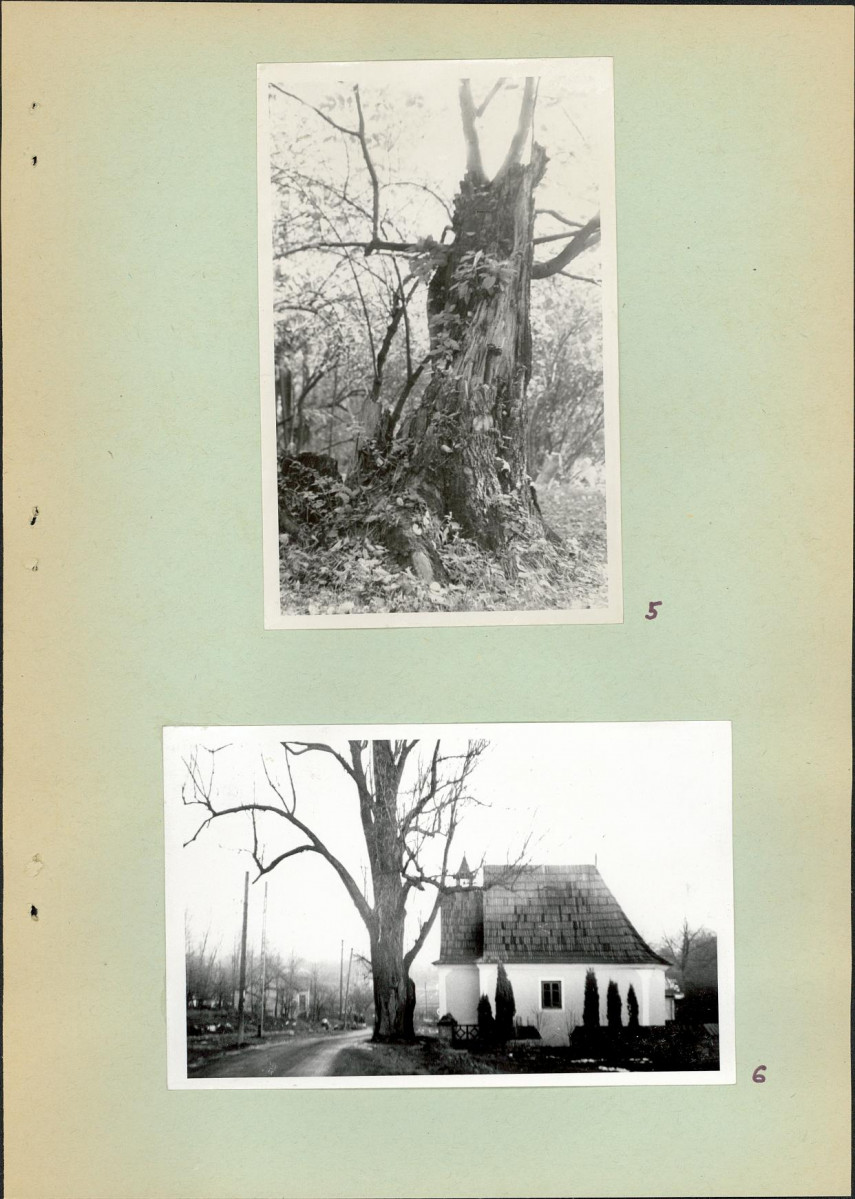 Ewidencja parkowa, skan nr 11