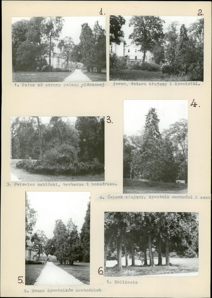 Ewidencja parkowa, skan nr 18