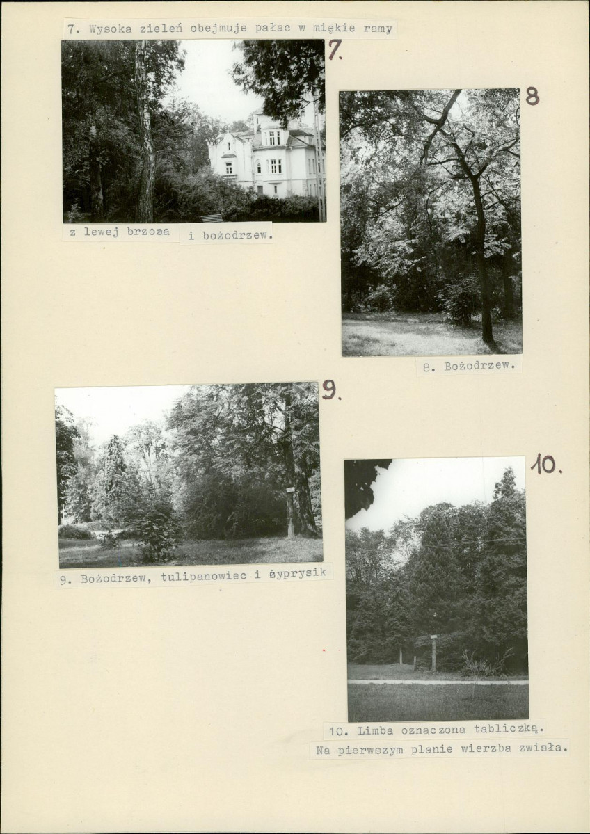 Ewidencja parkowa, skan nr 19