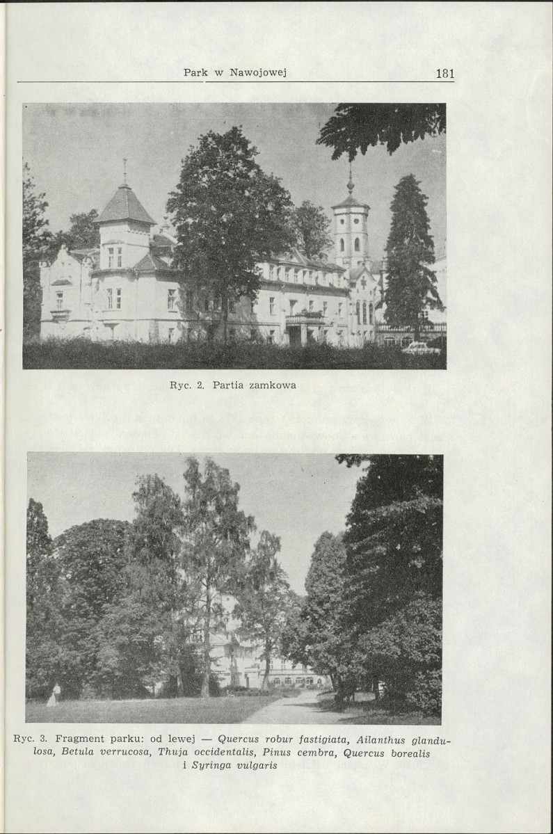 Ewidencja parkowa, skan nr 23