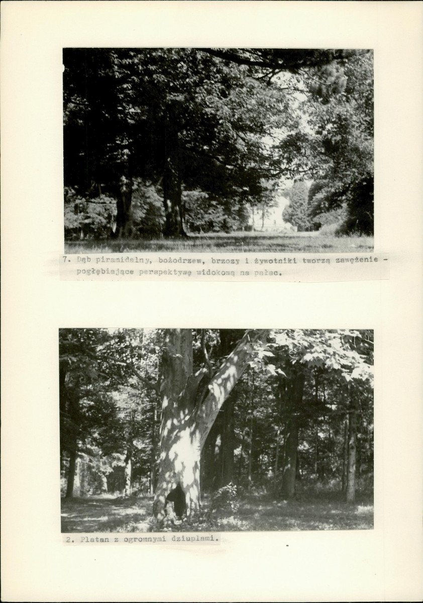 Ewidencja parkowa, skan nr 34