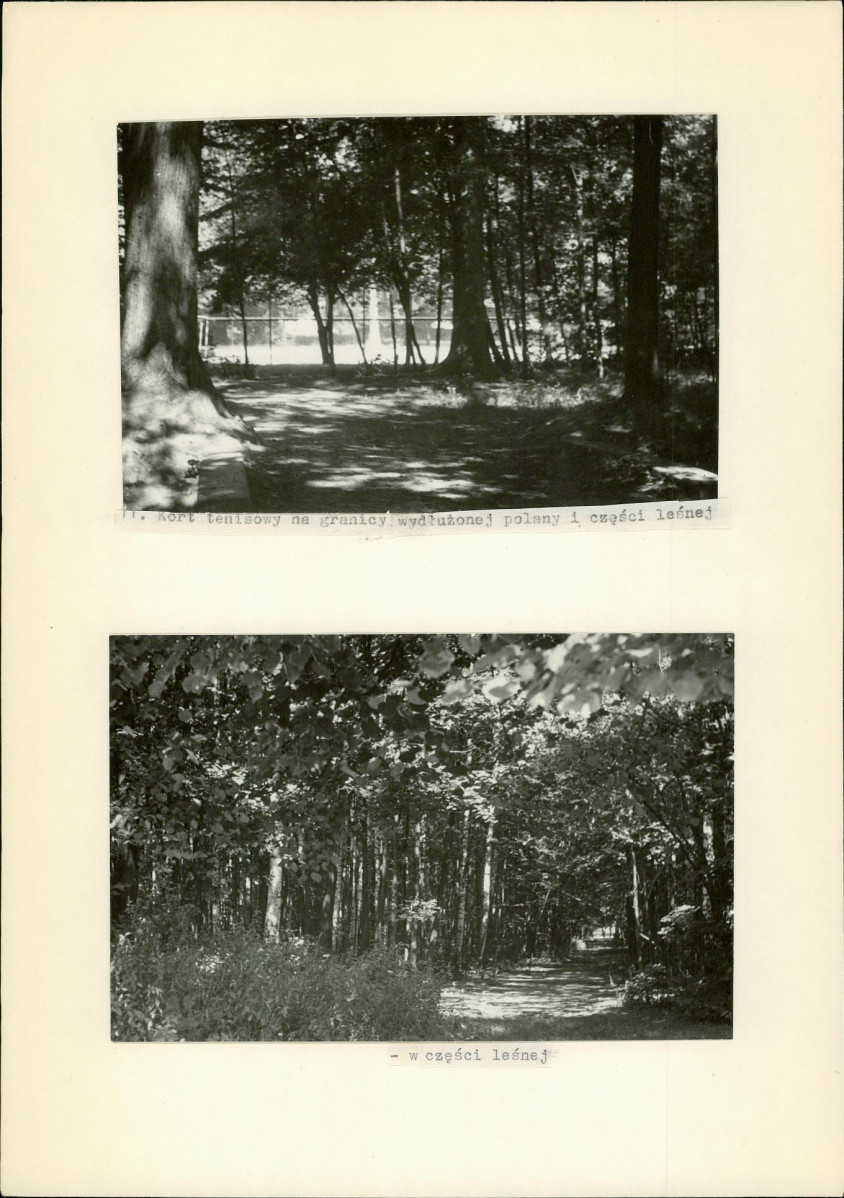 Ewidencja parkowa, skan nr 36