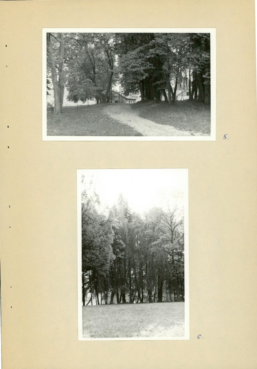 Ewidencja parkowa, skan nr 19