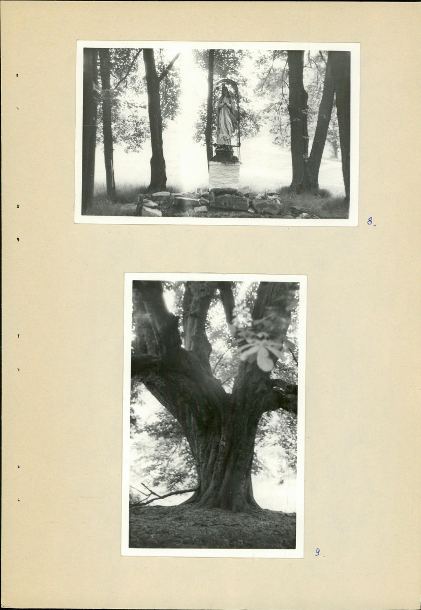 Ewidencja parkowa, skan nr 20