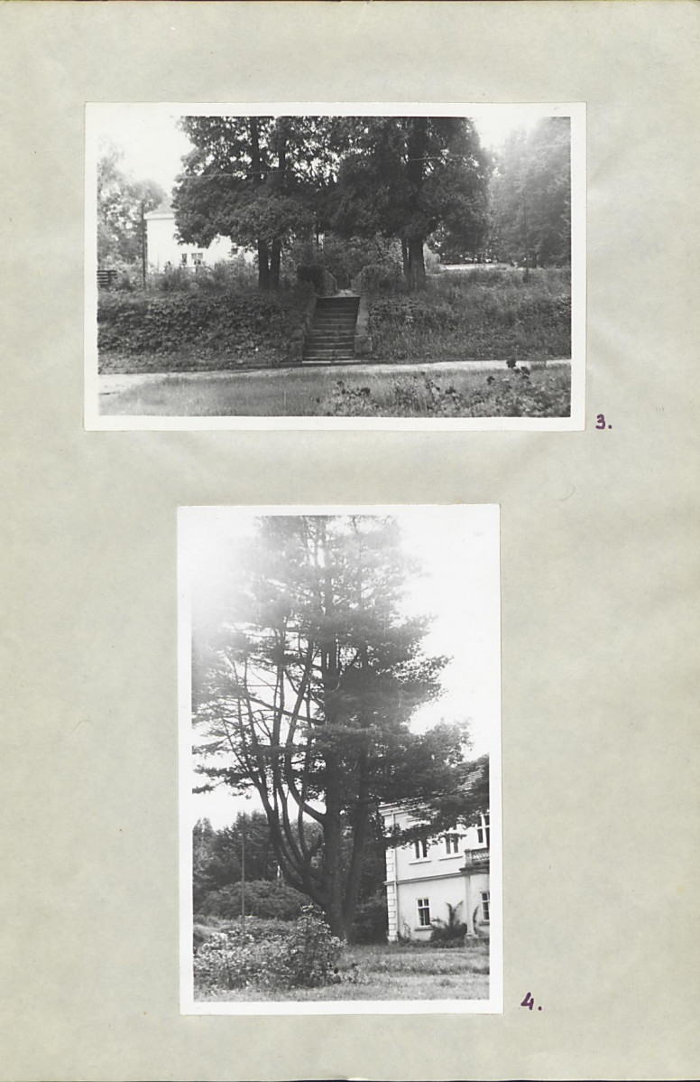 Ewidencja parkowa, skan nr 17