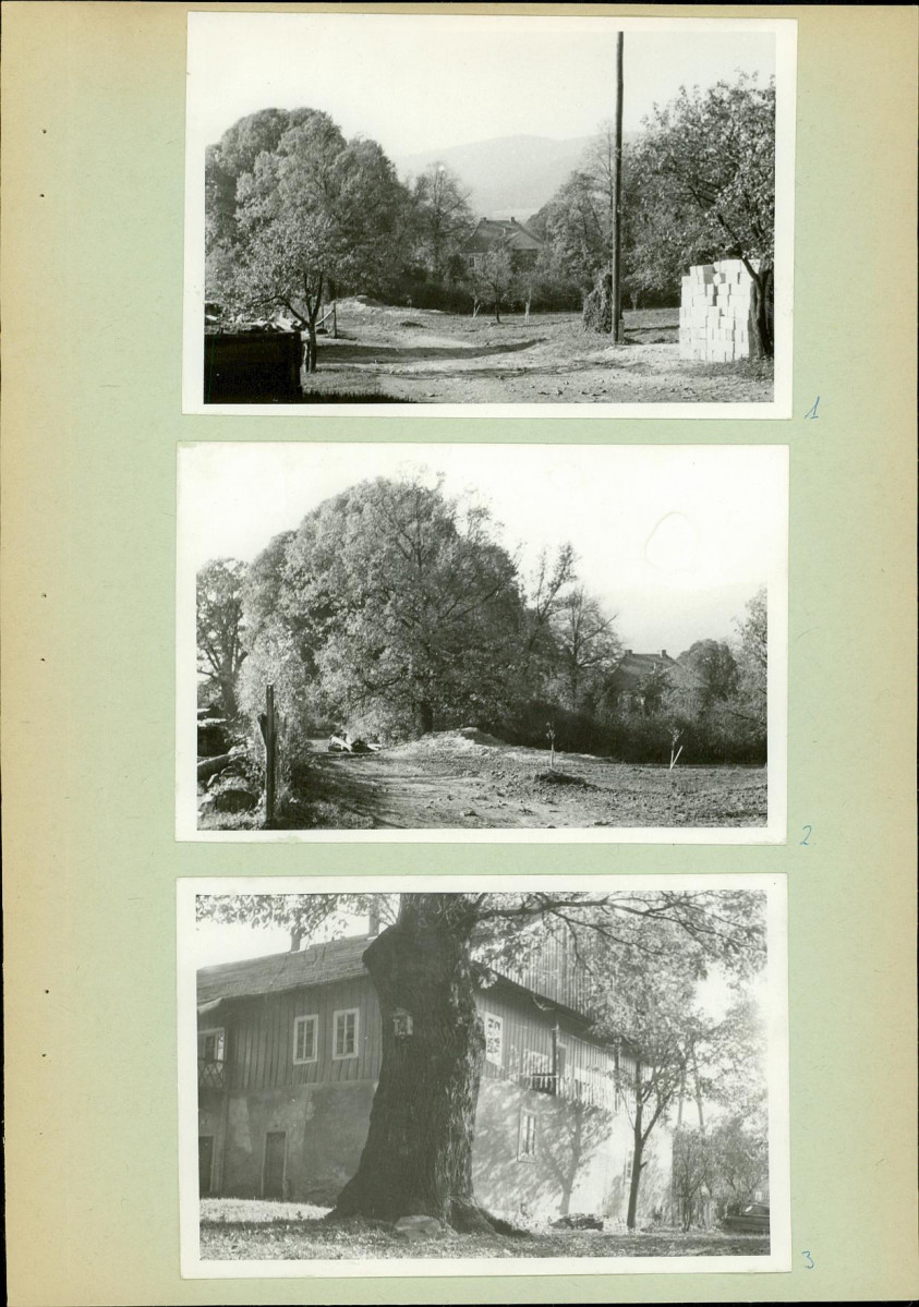 Ewidencja parkowa, skan nr 13