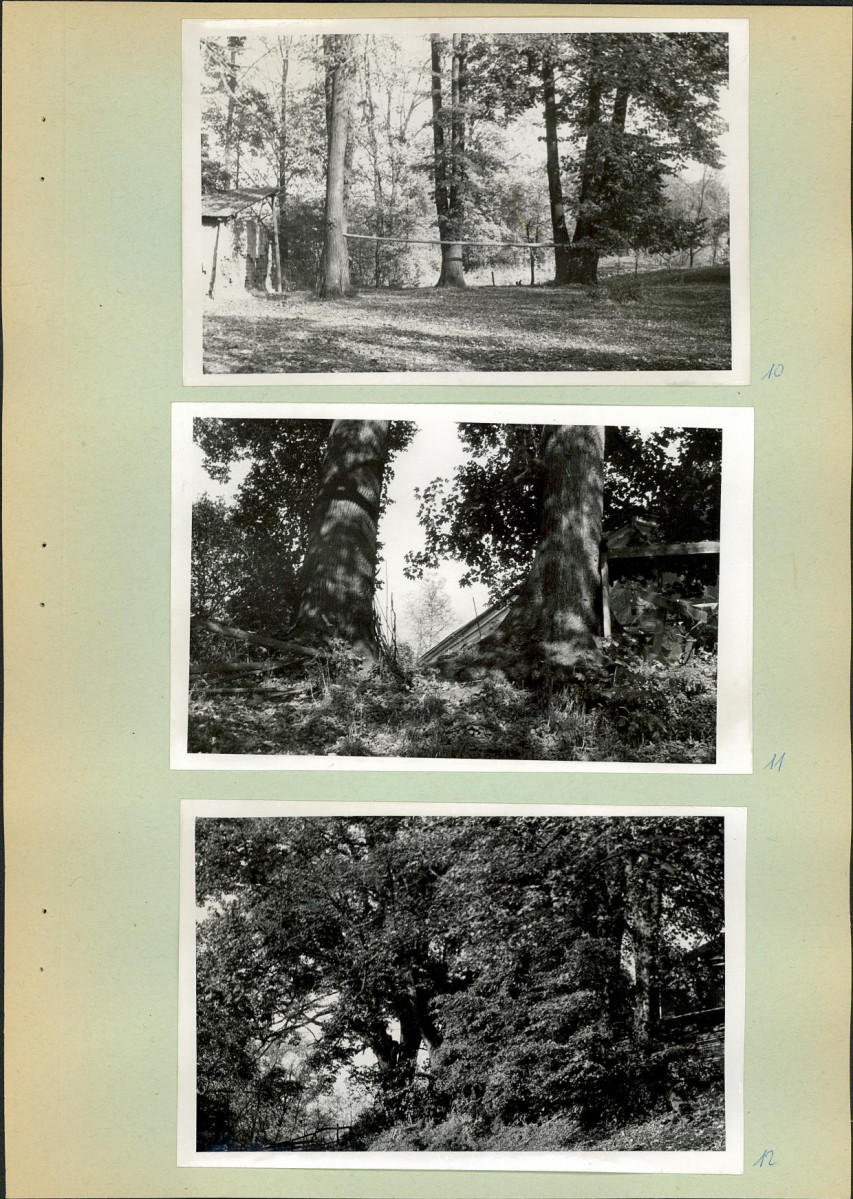 Ewidencja parkowa, skan nr 16