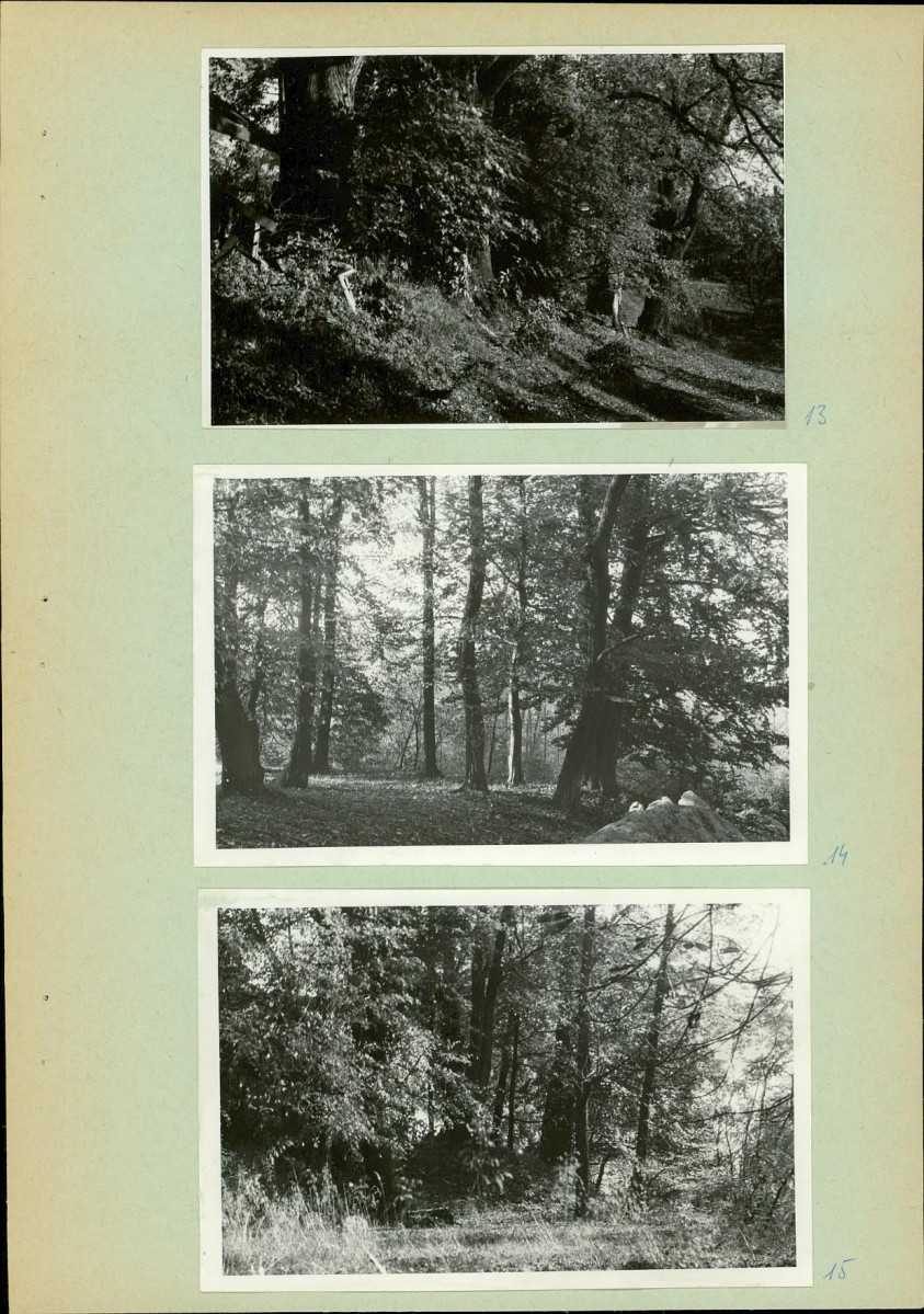 Ewidencja parkowa, skan nr 17