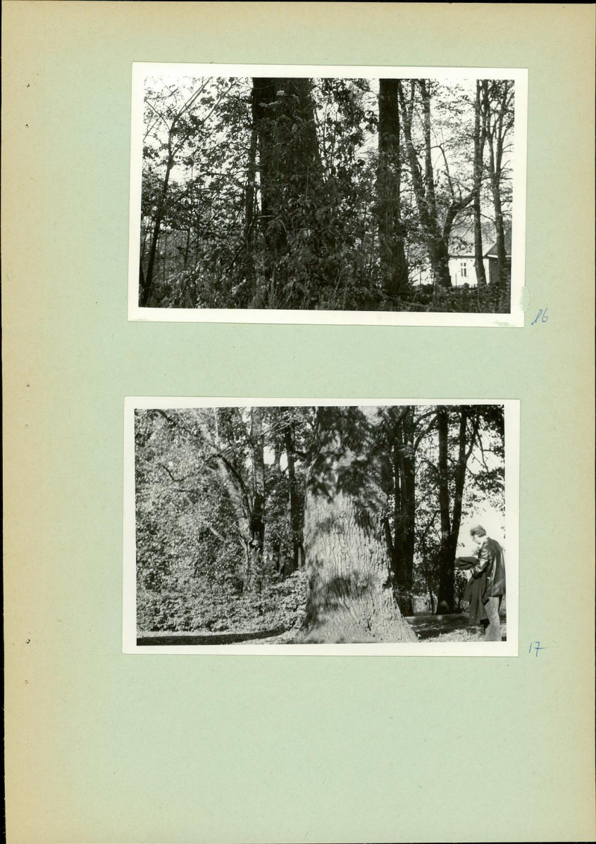 Ewidencja parkowa, skan nr 18