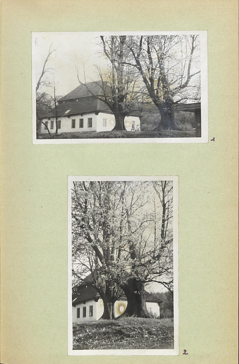Ewidencja parkowa, skan nr 10