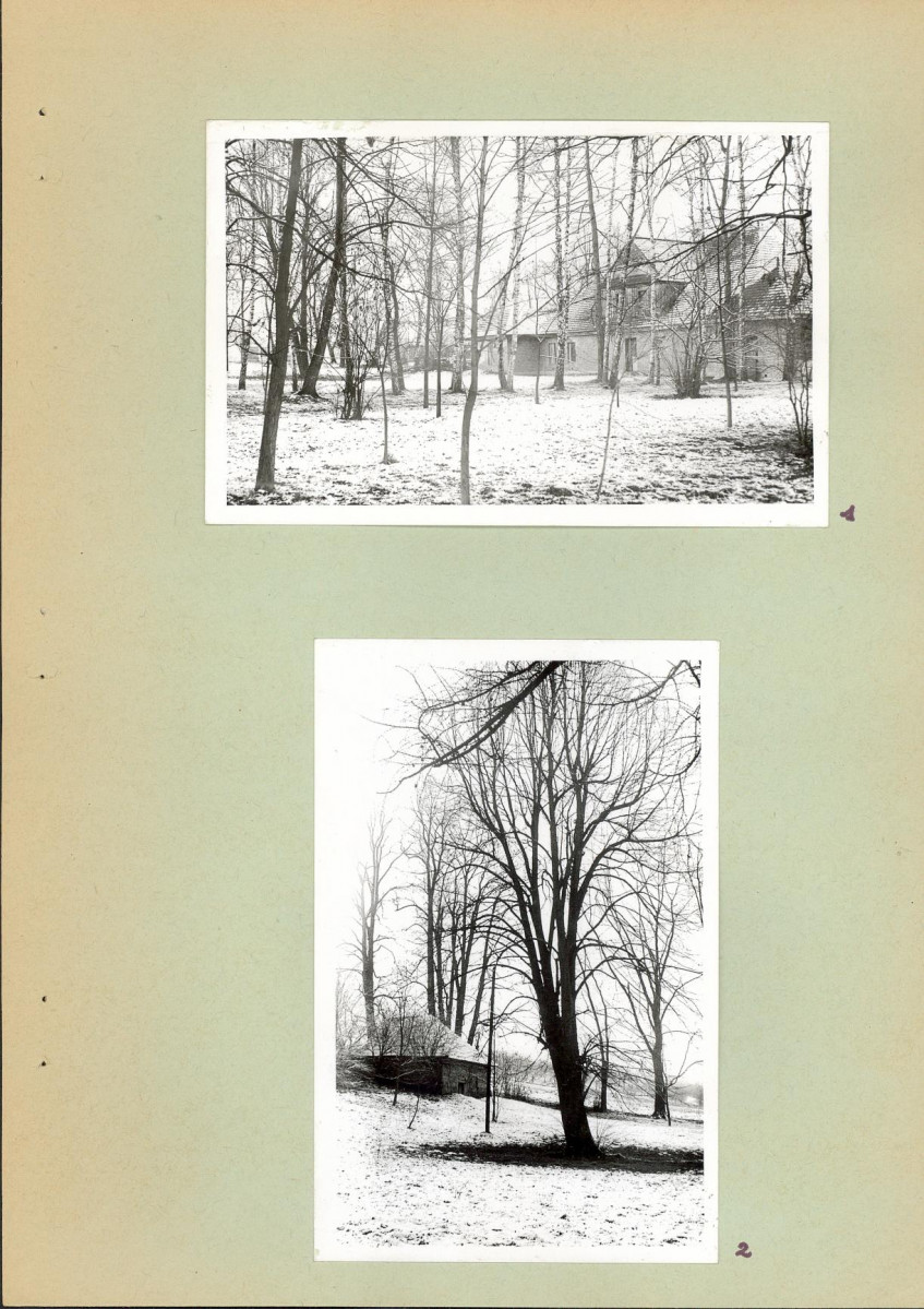 Ewidencja parkowa, skan nr 10