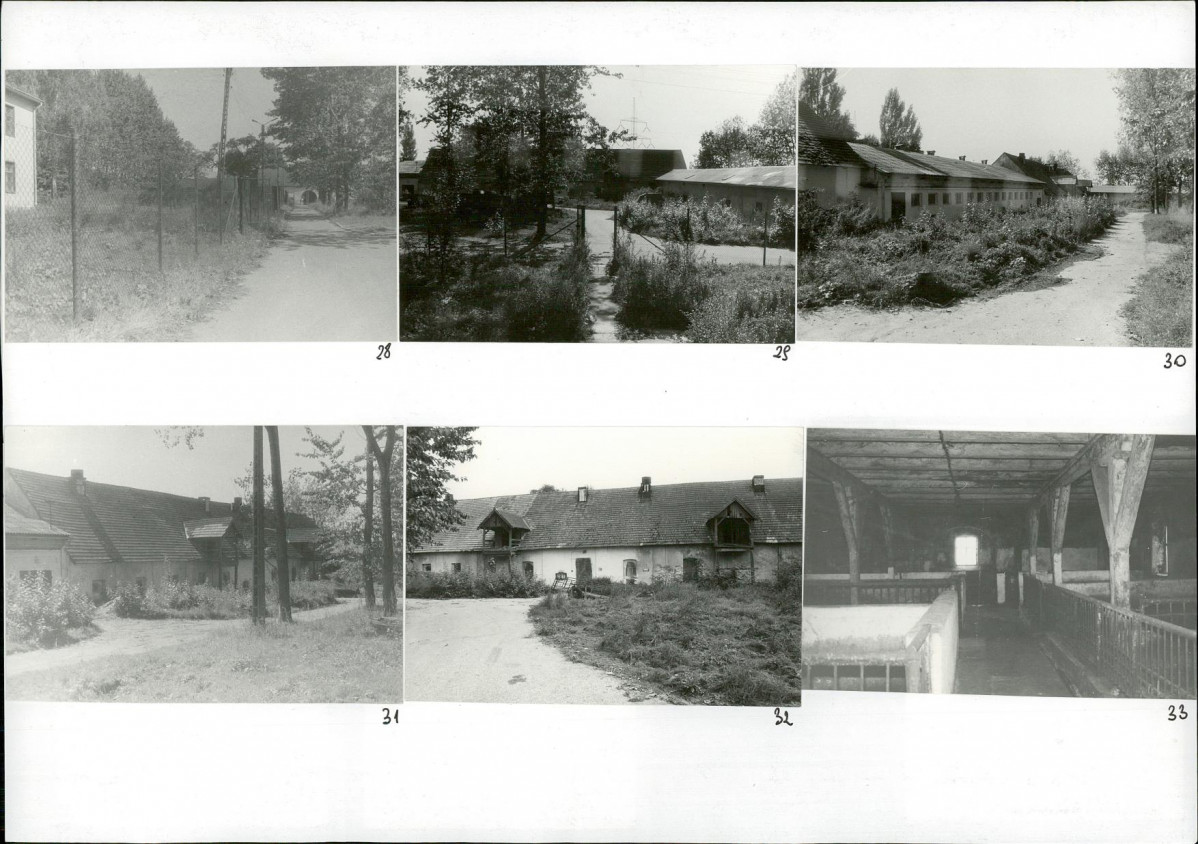 Karta biała, skan nr 18