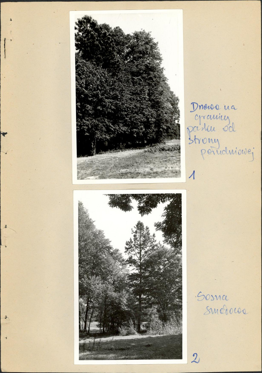 Ewidencja parkowa, skan nr 19