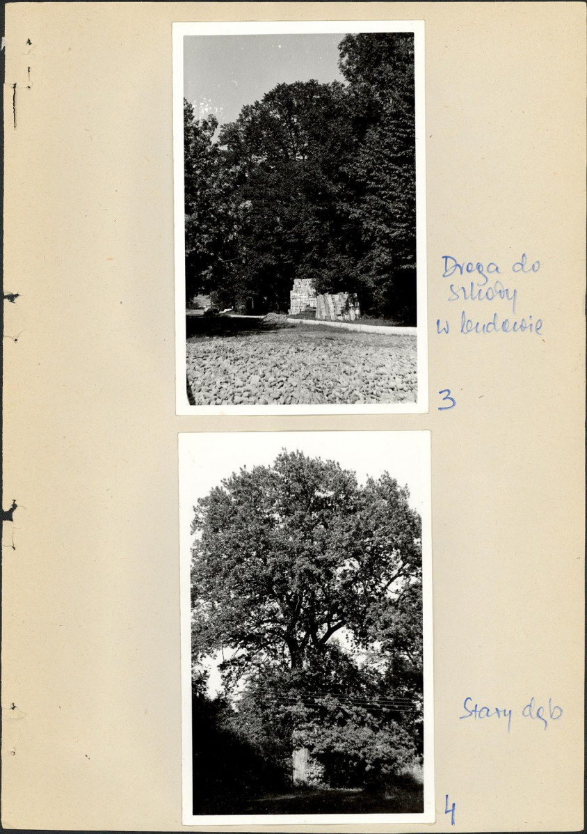 Ewidencja parkowa, skan nr 20