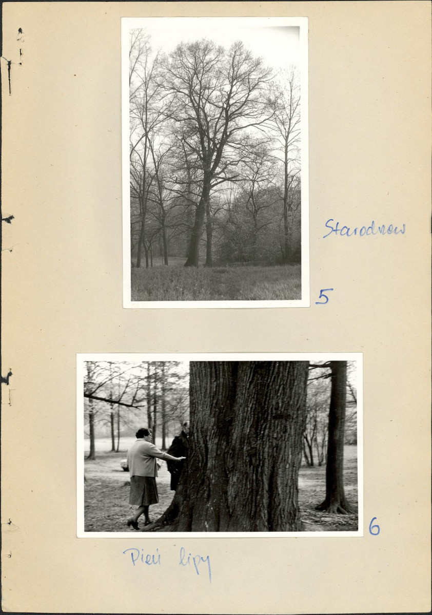 Ewidencja parkowa, skan nr 21