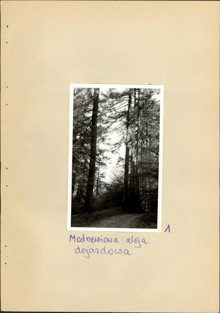Ewidencja parkowa, skan nr 24