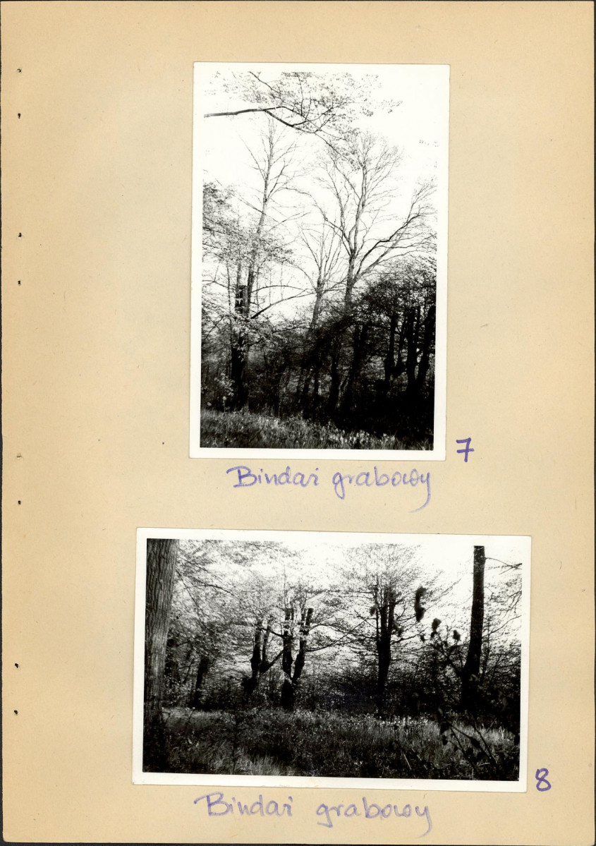 Ewidencja parkowa, skan nr 28