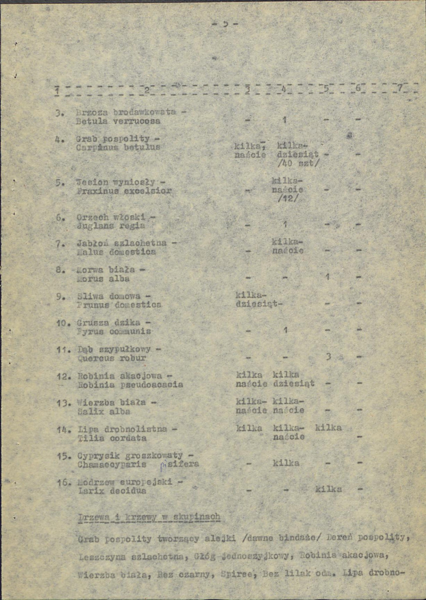 EP - Ewidencja parkowa, skan nr 13
