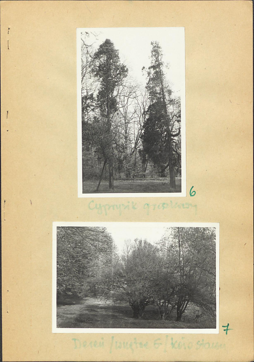 EP - Ewidencja parkowa, skan nr 24