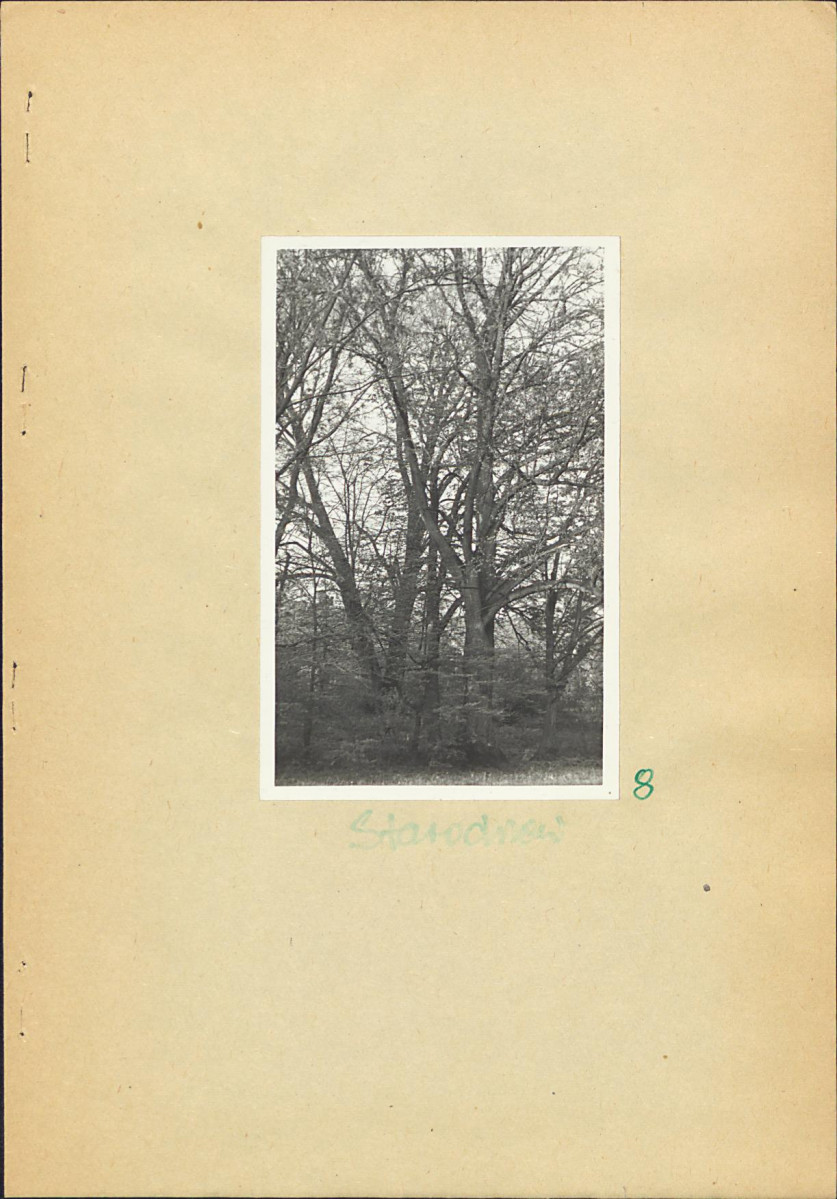 EP - Ewidencja parkowa, skan nr 25