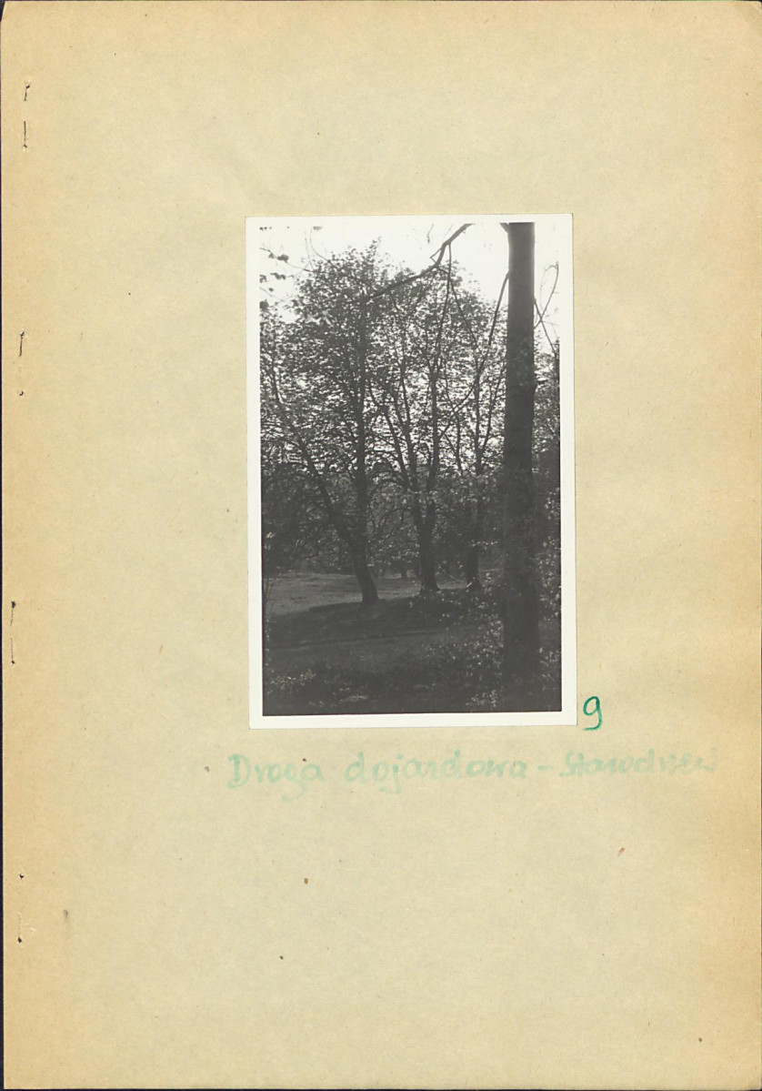 EP - Ewidencja parkowa, skan nr 26