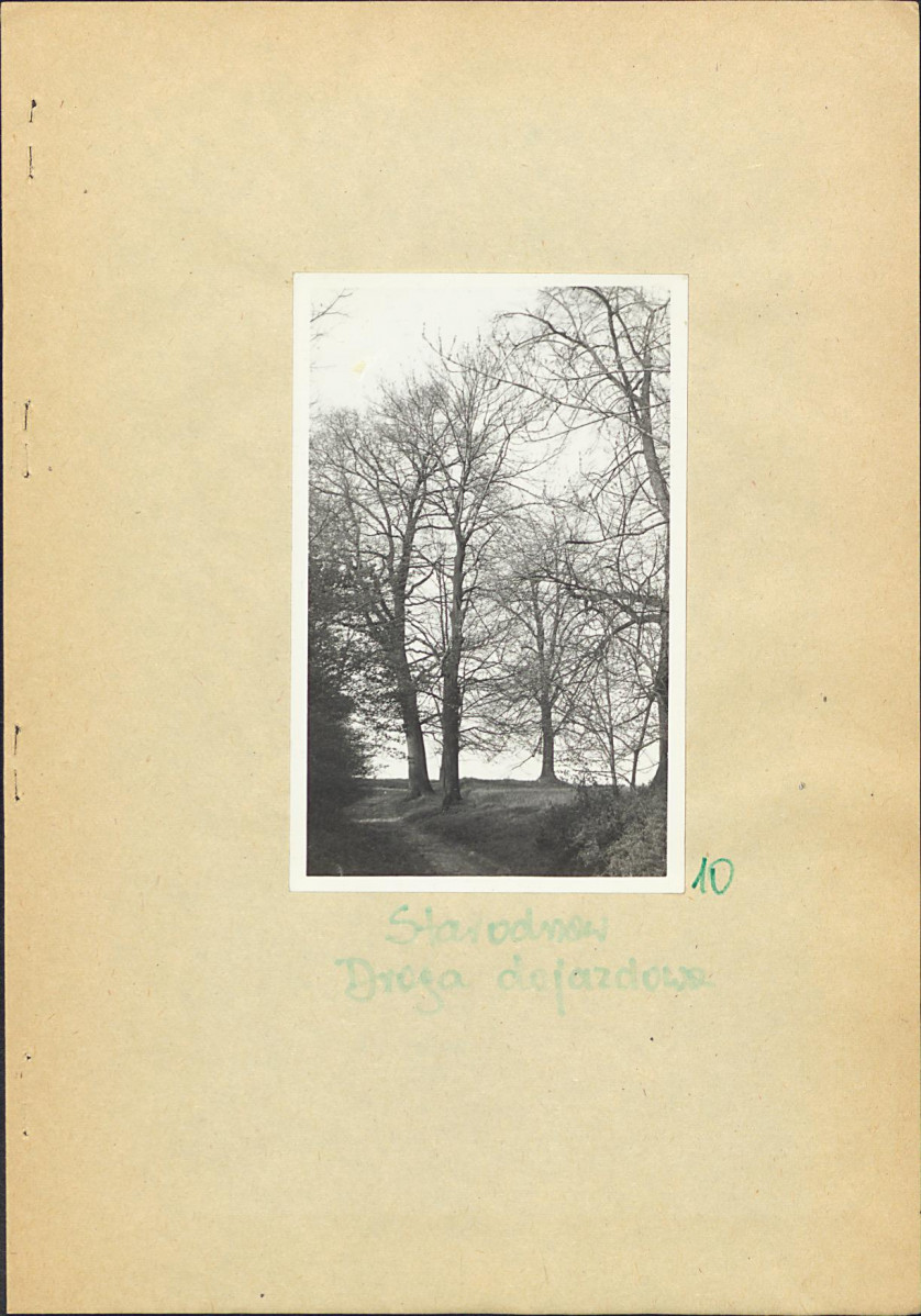 EP - Ewidencja parkowa, skan nr 27