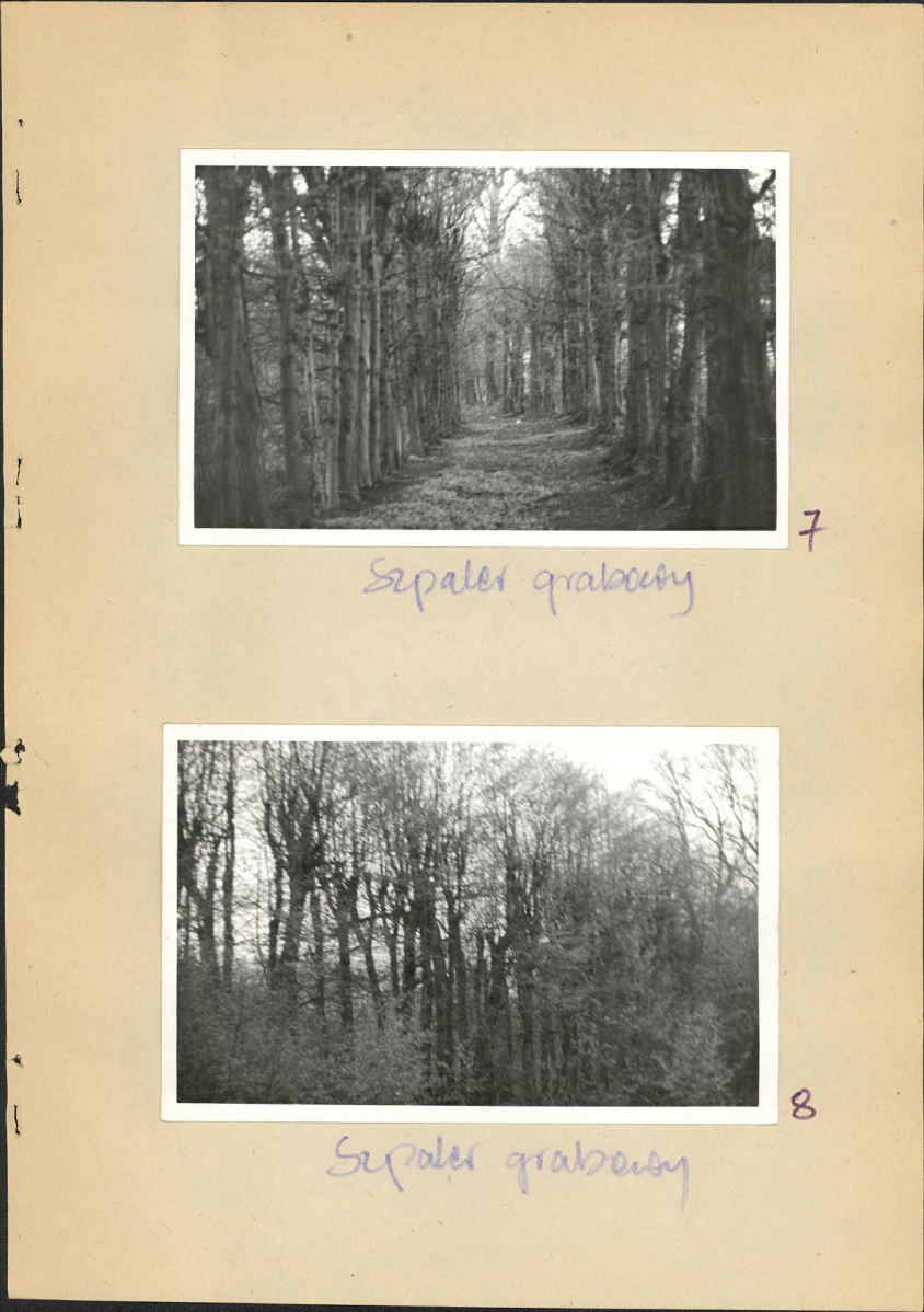 Ewidencja parkowa, skan nr 26