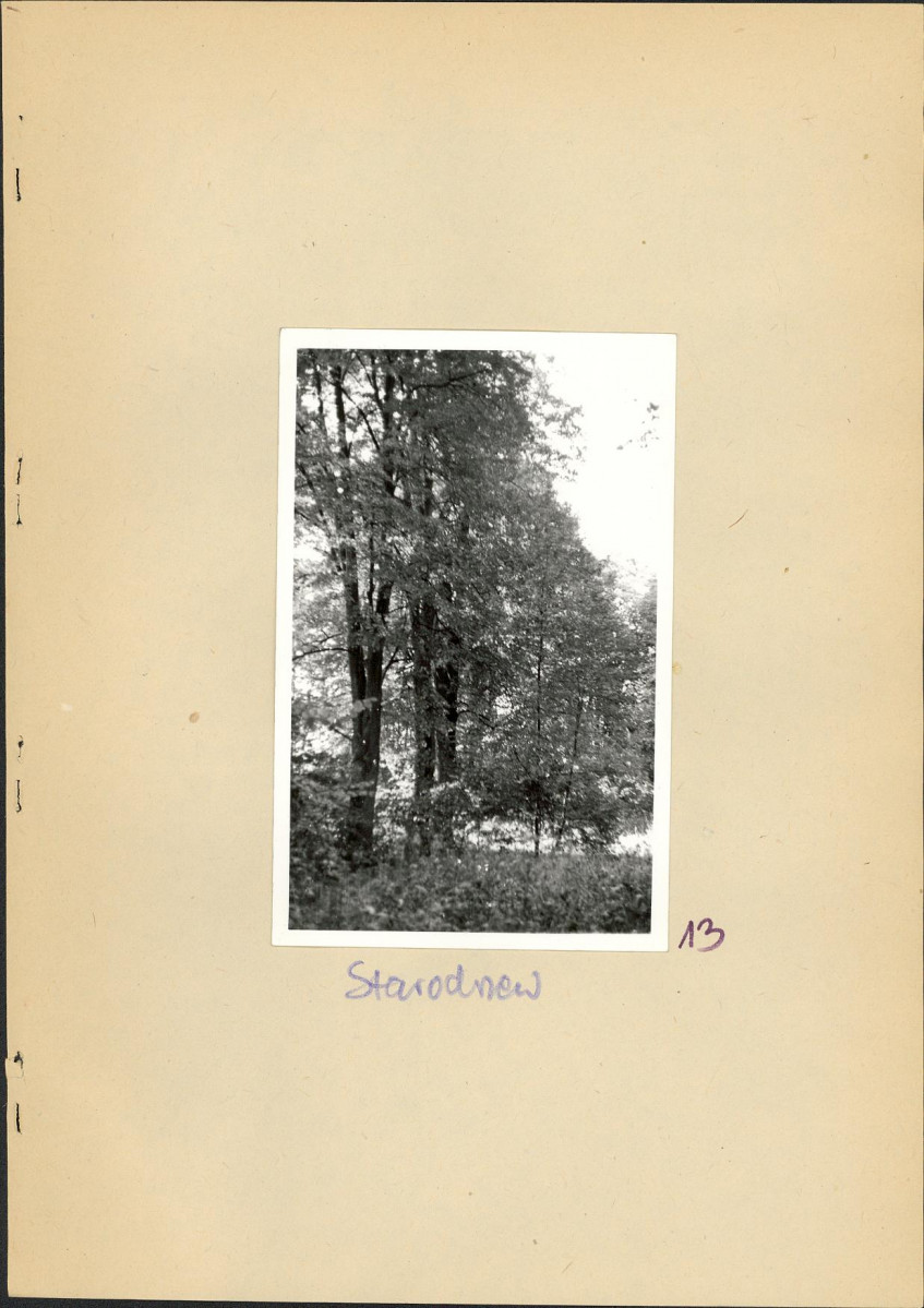 Ewidencja parkowa, skan nr 30