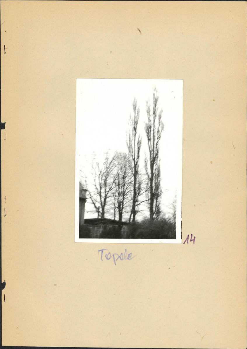 Ewidencja parkowa, skan nr 31