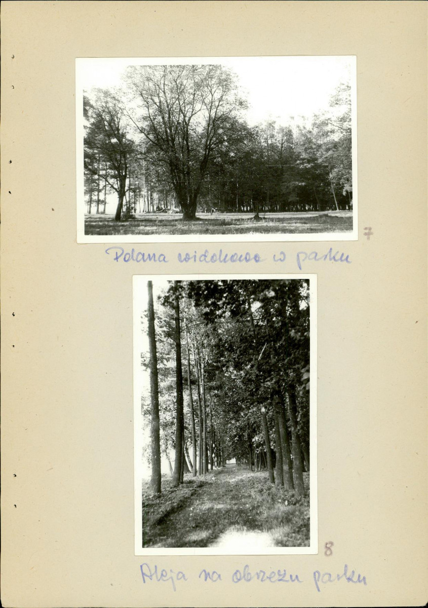 Ewidencja parkowa, skan nr 23