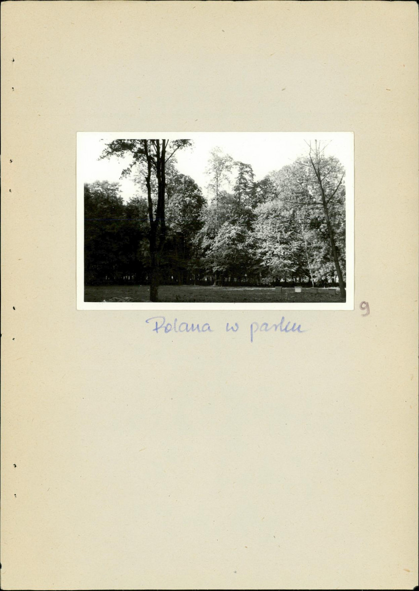 Ewidencja parkowa, skan nr 24