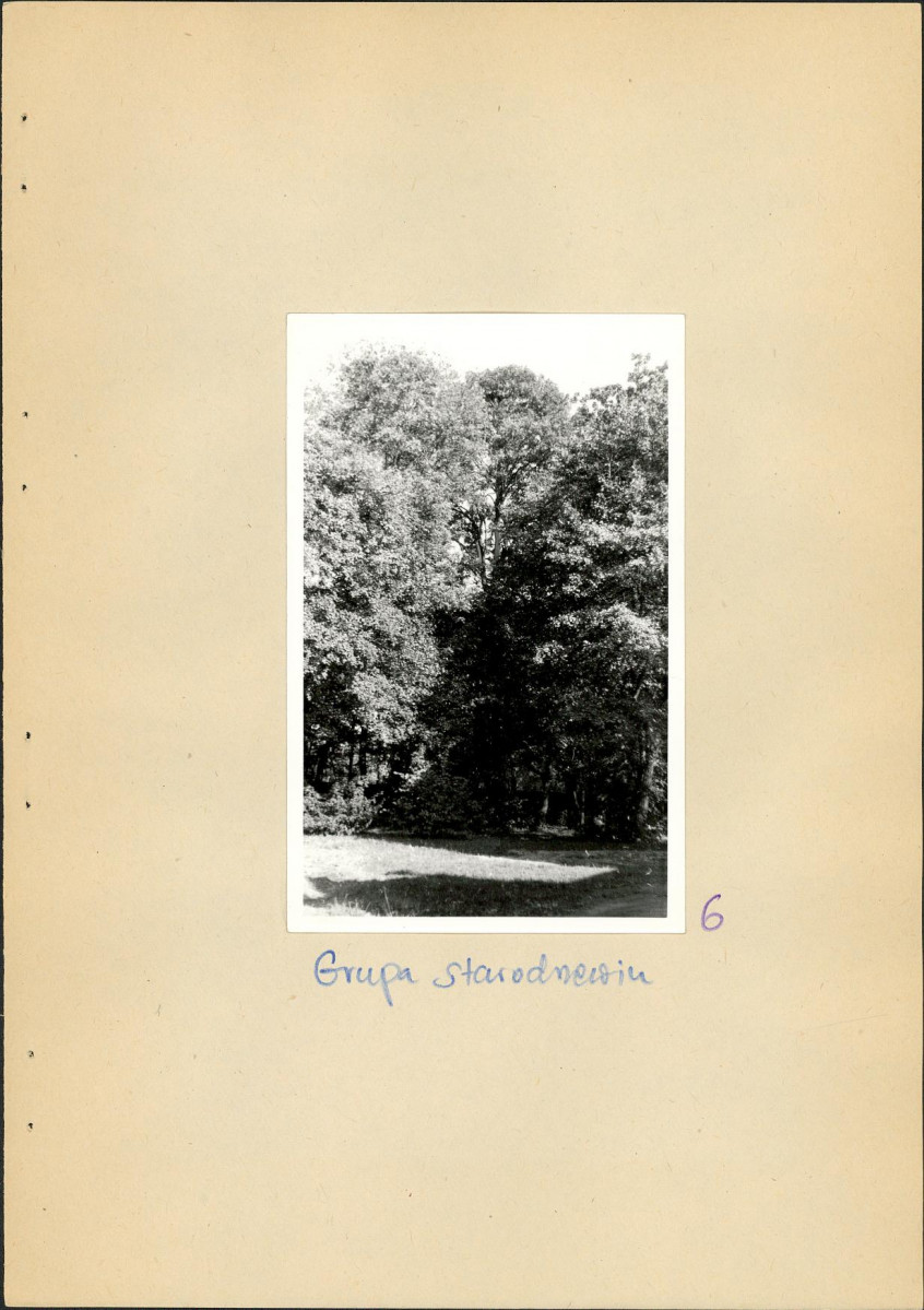 Ewidencja parkowa, skan nr 23