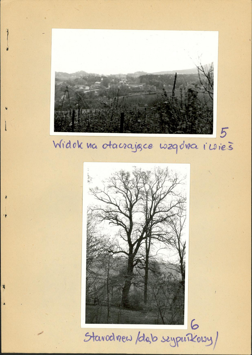 Ewidencja parkowa, skan nr 23