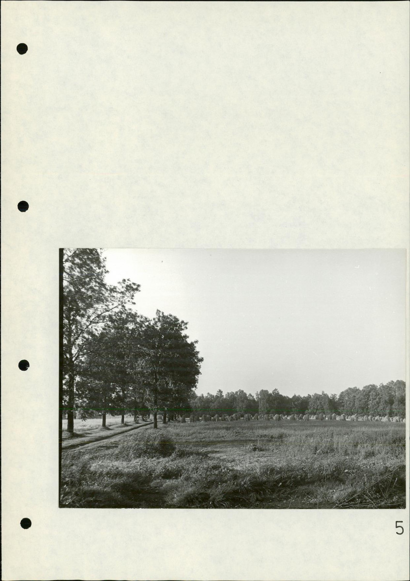 Ewidencja parkowa, skan nr 28