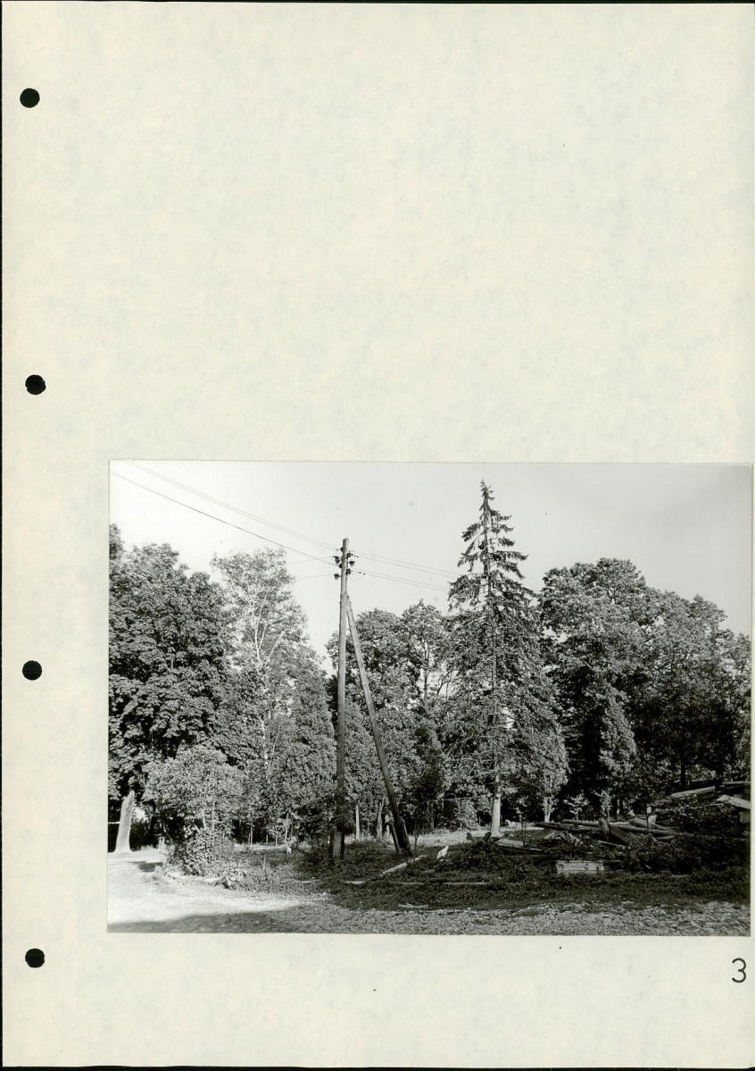 Ewidencja parkowa, skan nr 28