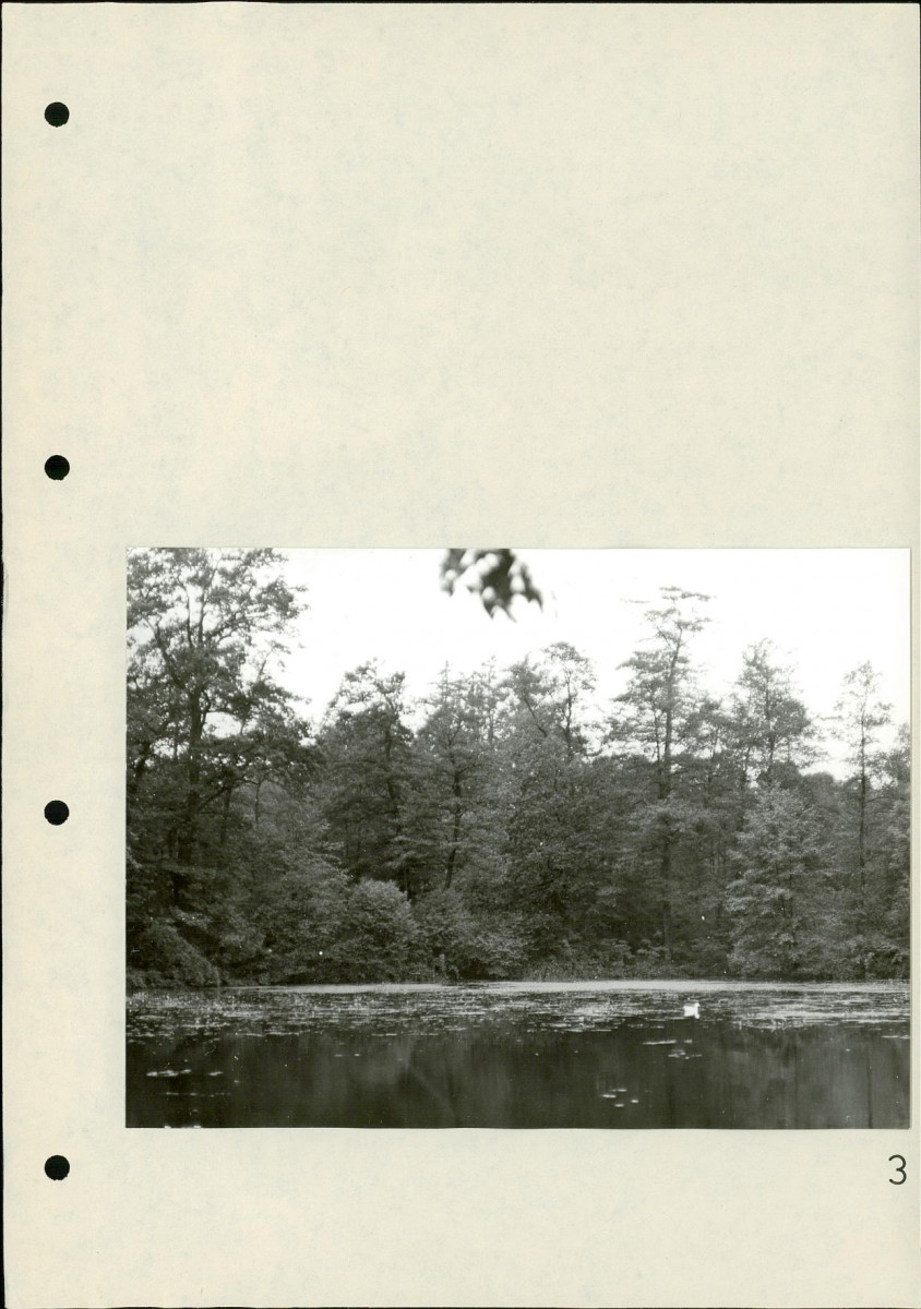 EP - Ewidencja parkowa, skan nr 26