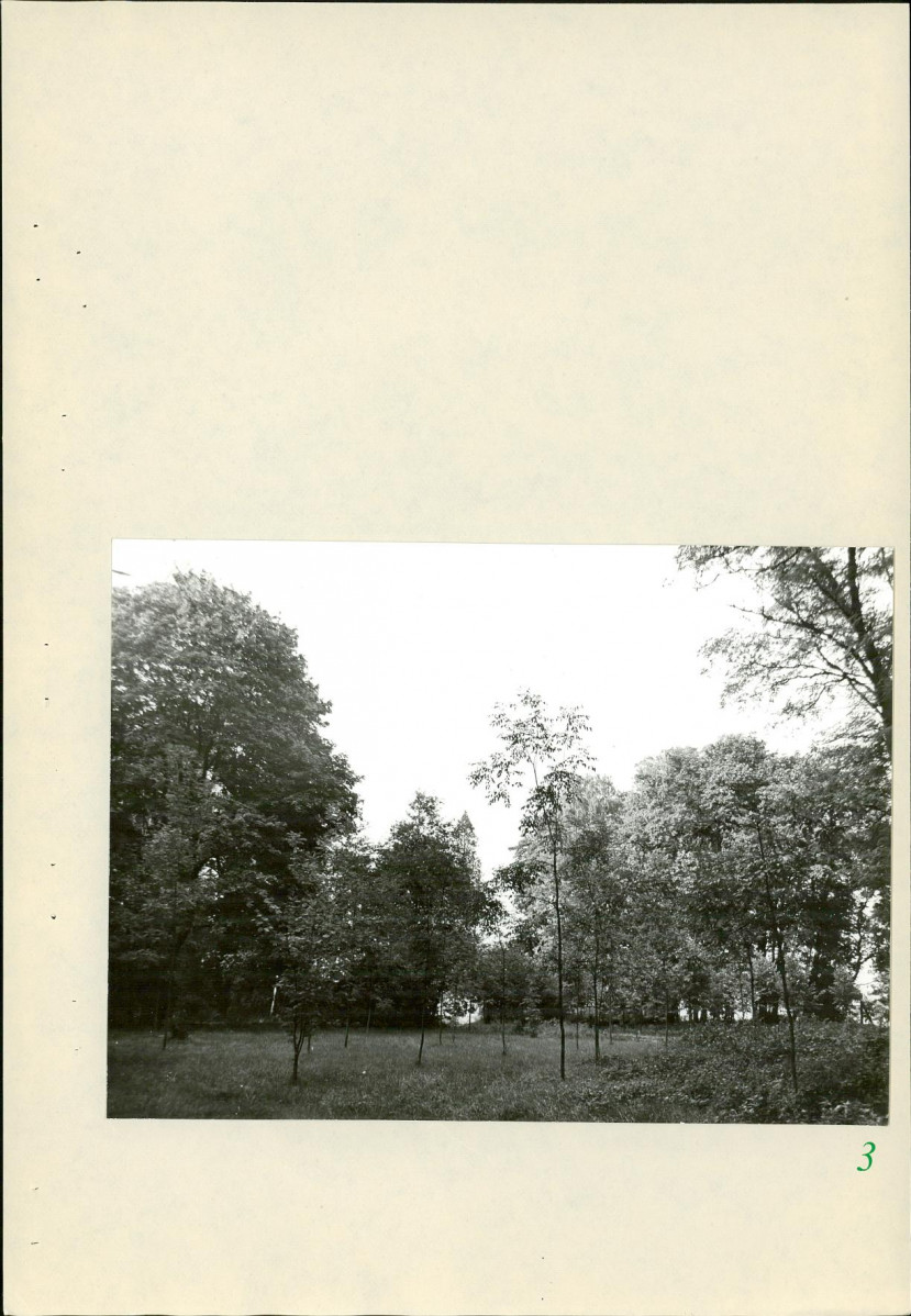 Ewidencja parkowa, skan nr 26