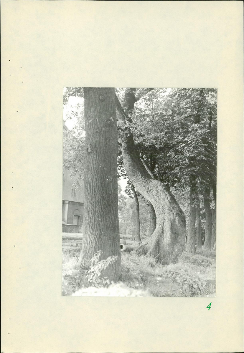 Ewidencja parkowa, skan nr 27