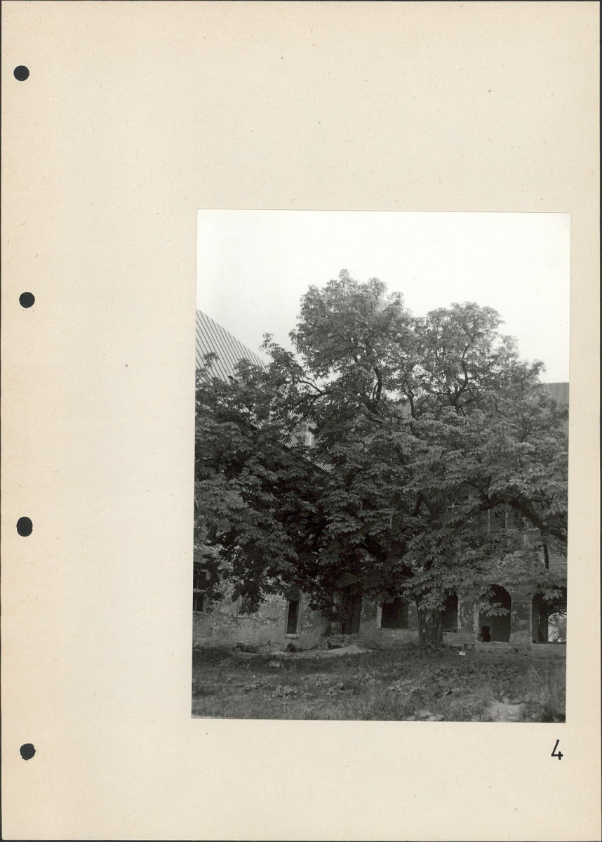 Ewidencja parkowa, skan nr 29