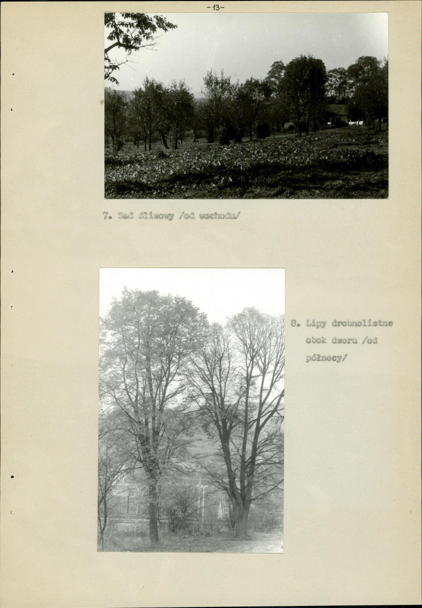 Ewidencja parkowa, skan nr 16