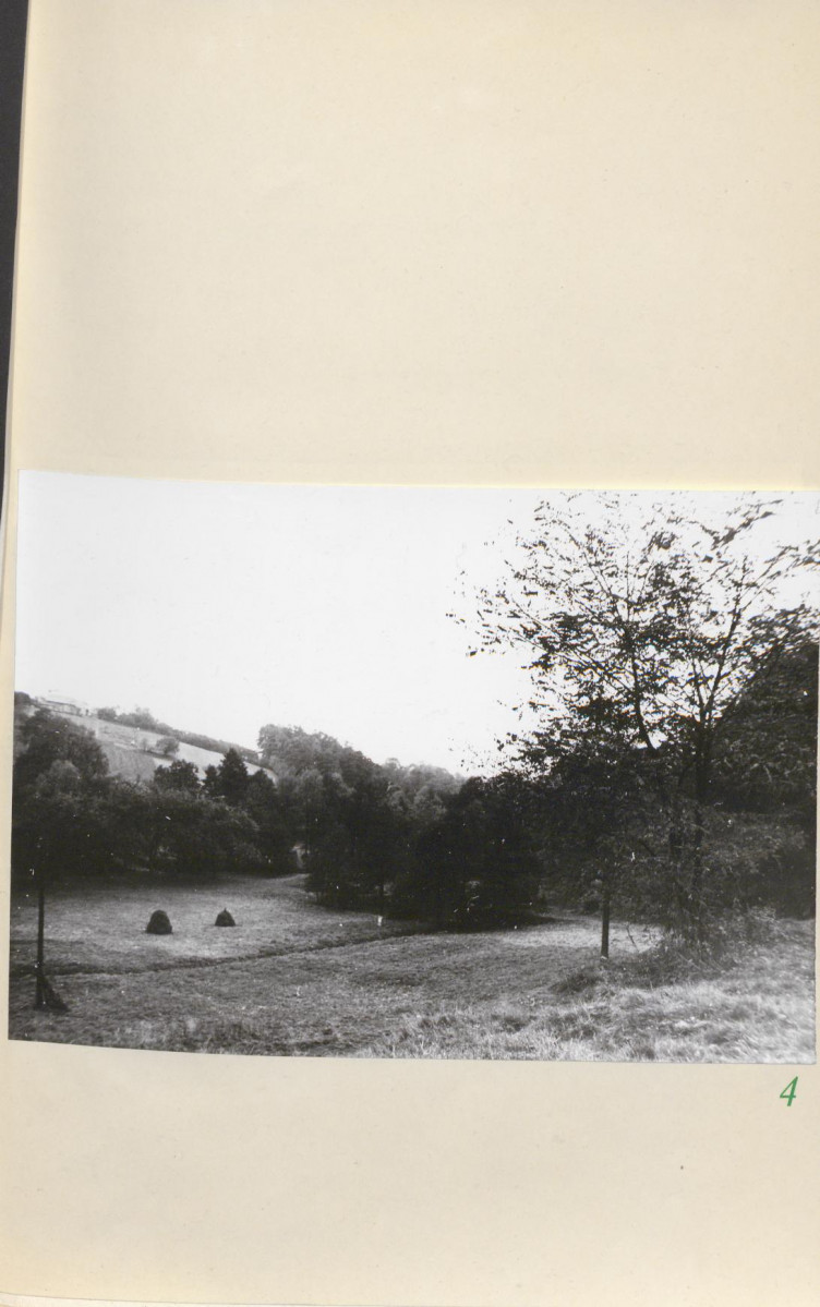 Ewidencja parkowa, skan nr 28