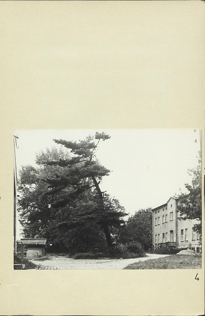 Ewidencja parkowa, skan nr 32