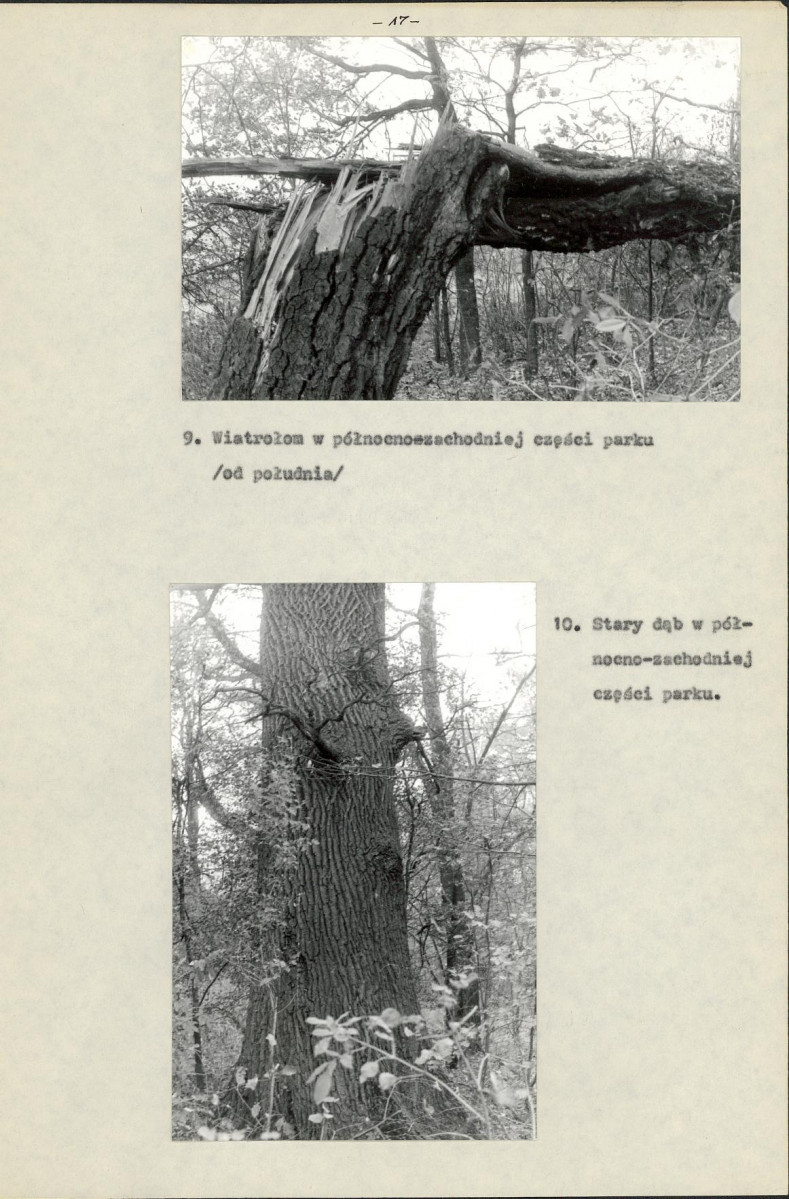 Ewidencja parkowa, skan nr 20