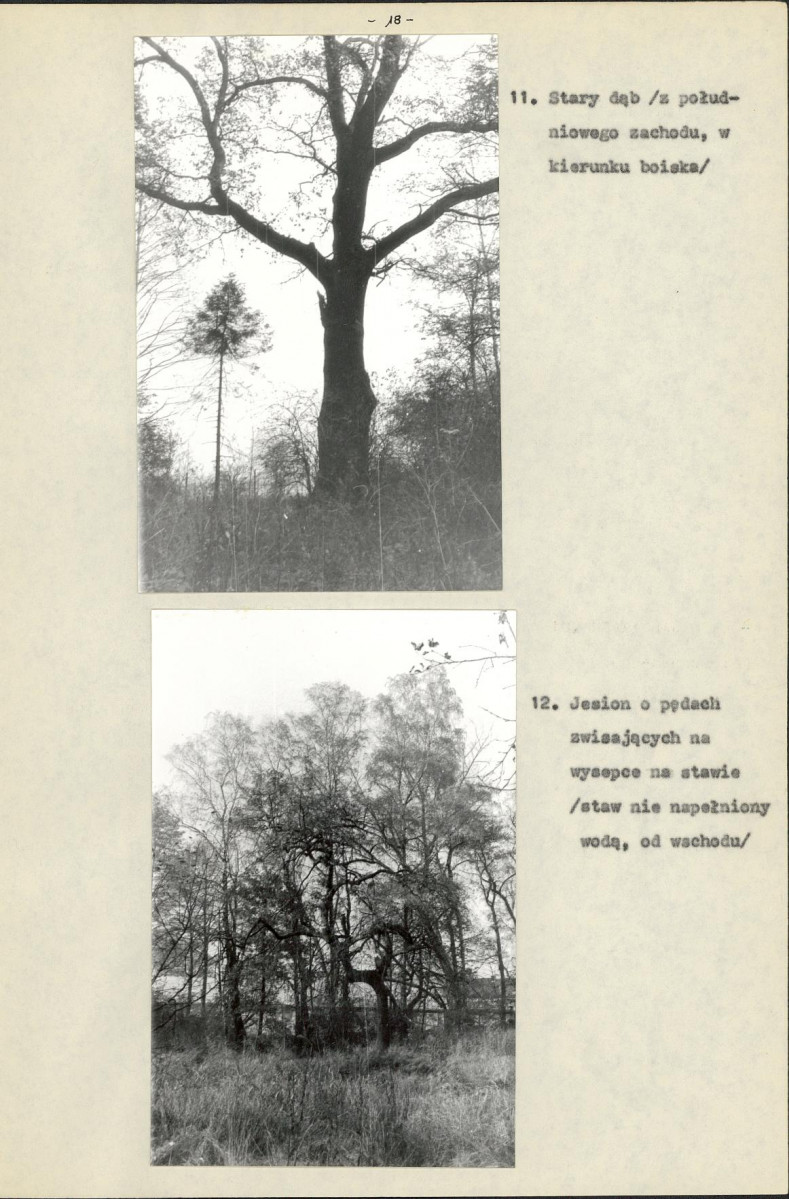 Ewidencja parkowa, skan nr 21