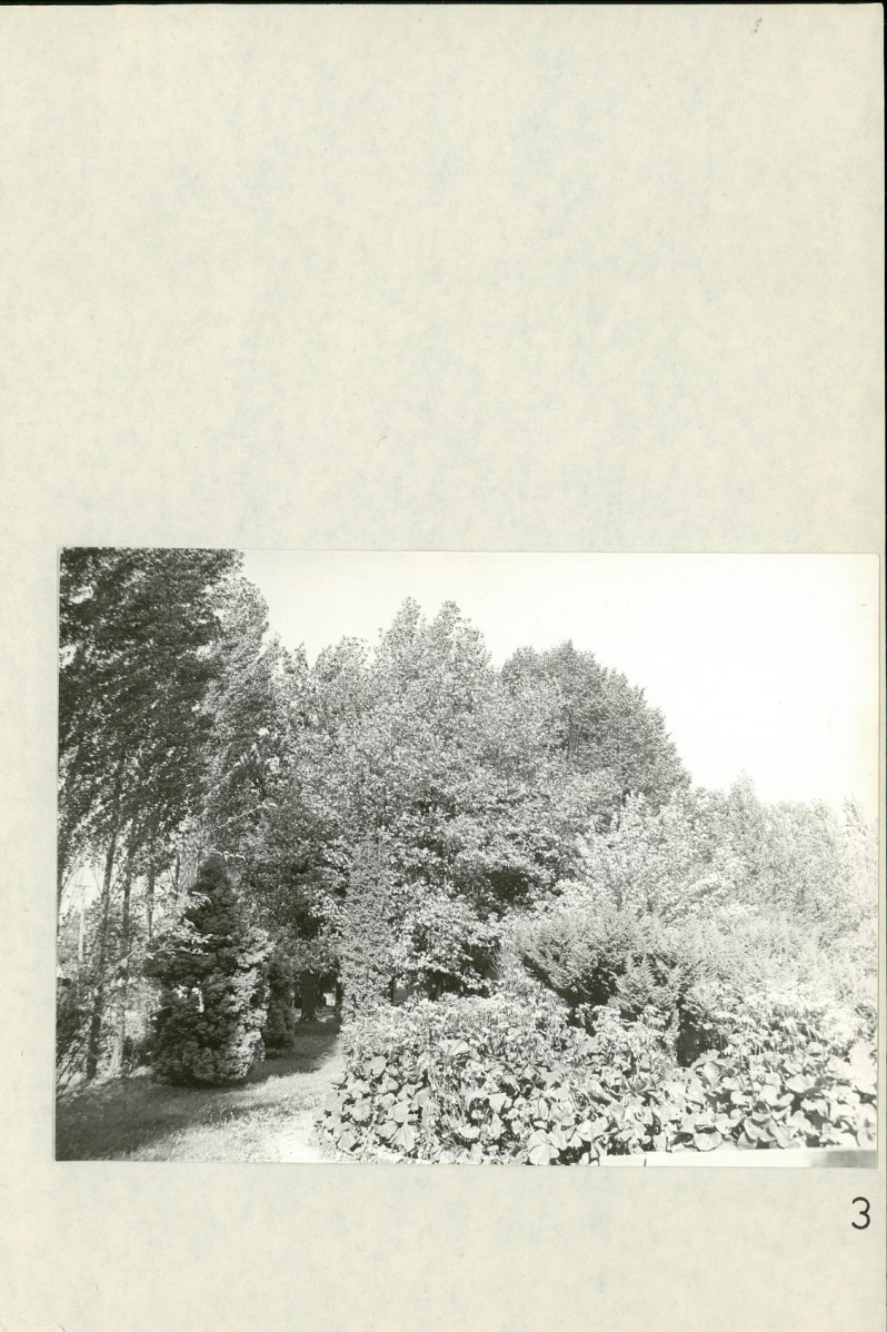 Ewidencja parkowa, skan nr 32