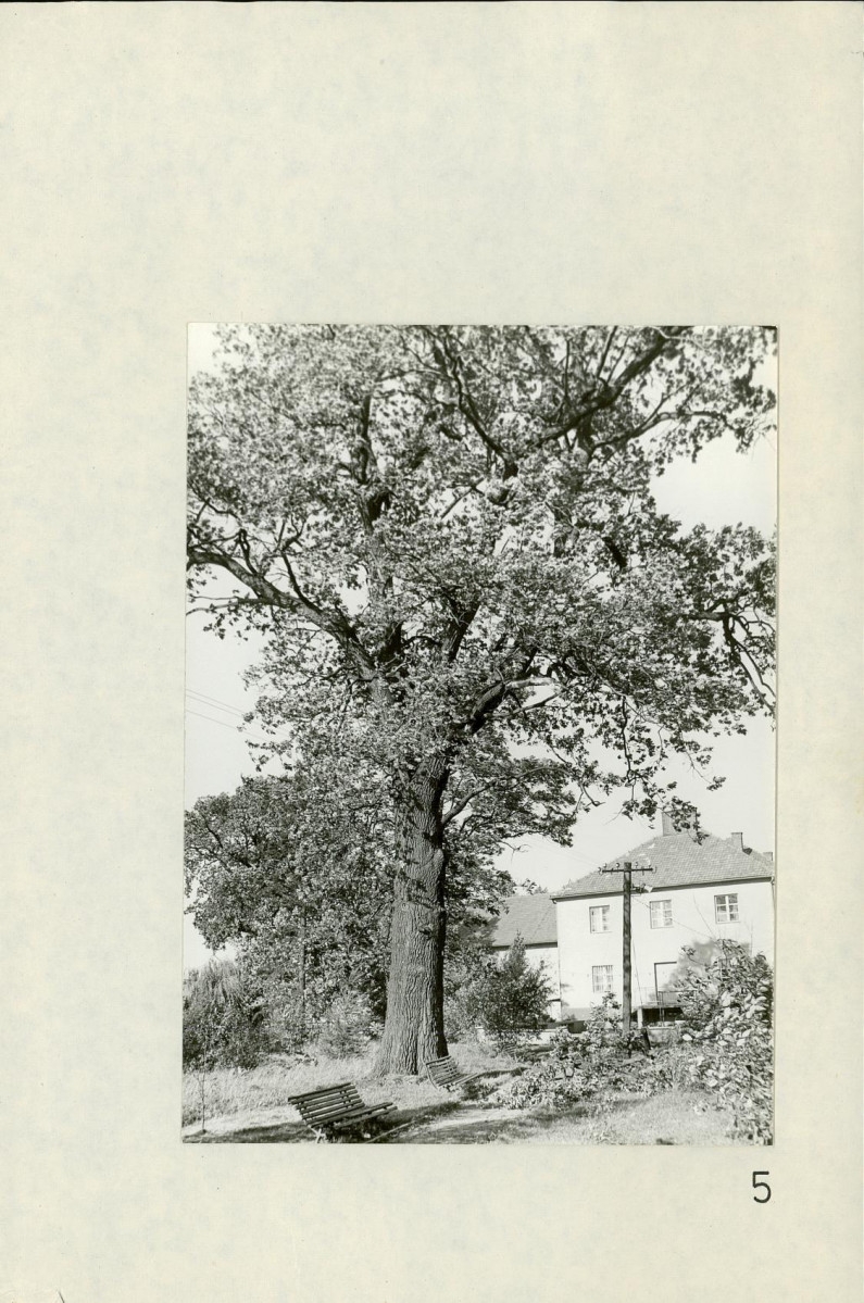 Ewidencja parkowa, skan nr 34