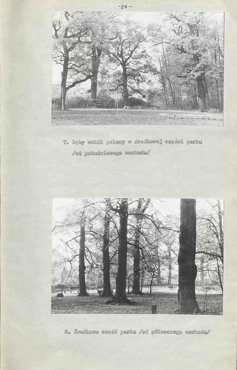 Ewidencja parkowa, skan nr 27