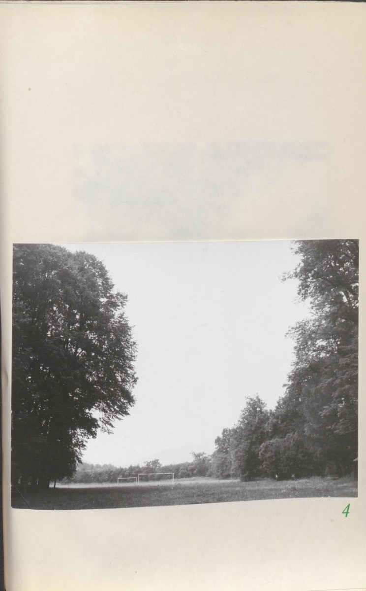 Ewidencja parkowa, skan nr 29