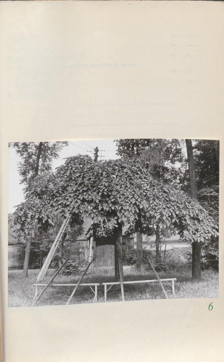 Ewidencja parkowa, skan nr 31